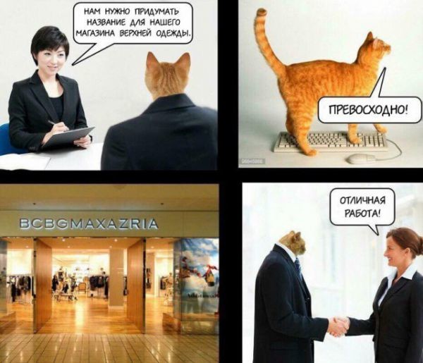 Смешные комментарии из социальных сетей соцсети, юмор