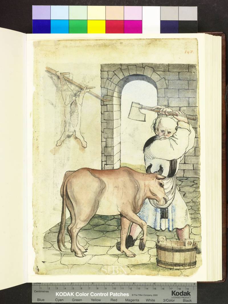 Мясное Средневековье: мясники-забойщики, торговцы мясом, птицеловы и рыбаки история