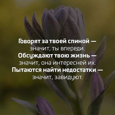 Шикарные фотографии и жизненные картинки с надписями со смыслом 