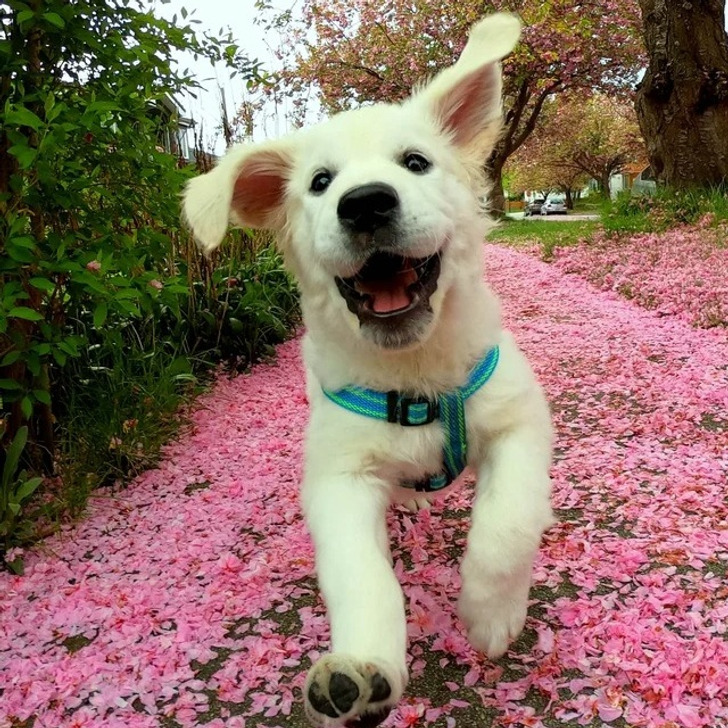 14 добрых историй, в которых столько тепла, что можно растопить весенние сугробы