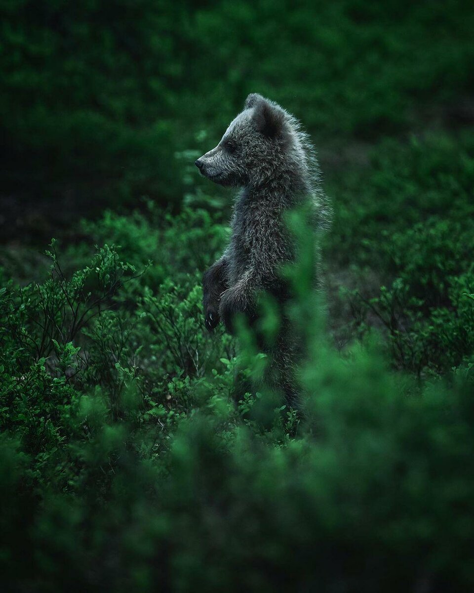 15 фото природы, захватывающие дух и воображение