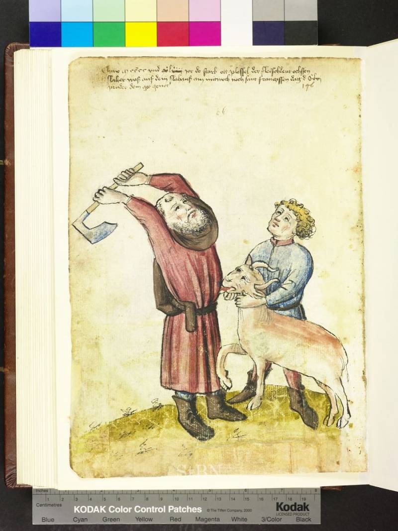 Мясное Средневековье: мясники-забойщики, торговцы мясом, птицеловы и рыбаки история