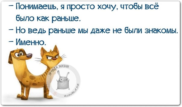 Прикольные картинки с позитивными фразками Прикольные картинки с позитивными фразками