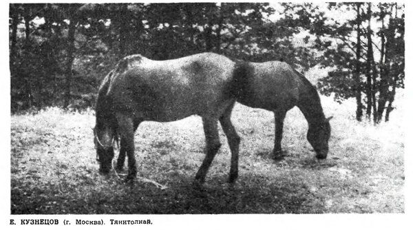 Смешные фото из СССР 