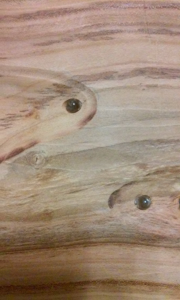 Шкатулка Шкатулка самоделкин