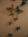 Бабочки-магниты