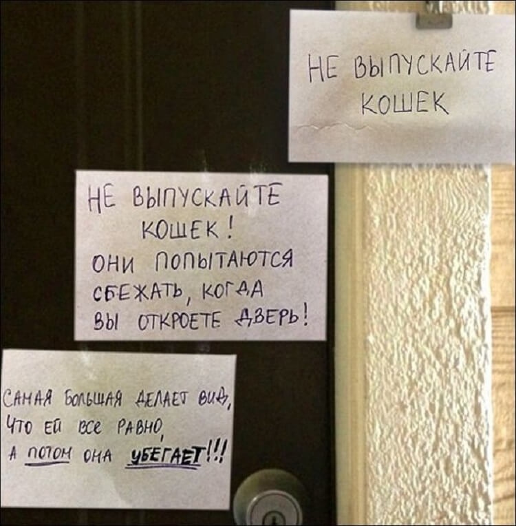 10+ смешных объявлений, которые можно встретить только в России 10+ смешных объявлений, которые можно встретить только в России