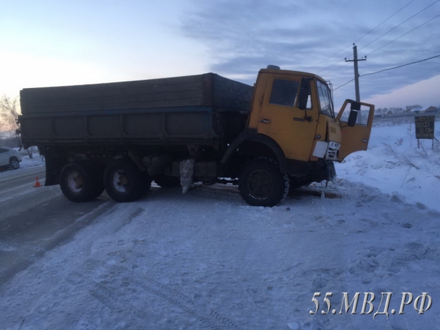 В ДТП под Омском скончался водитель Honda и его собака