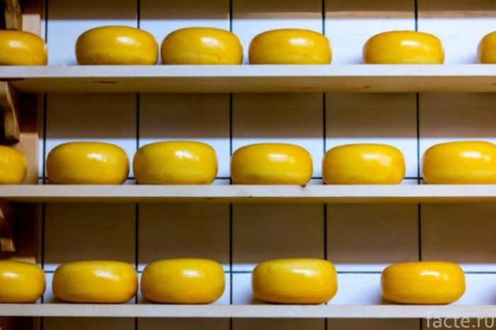 5 продуктов, производство которых убивает нашу планету продукты,экология