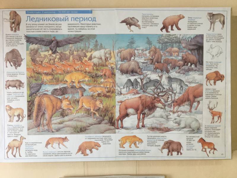 Древние культуры нашей страны: Куйбышевская экспедиция против буржуазных фальсификаторов Древние культуры нашей страны: Куйбышевская экспедиция против буржуазных фальсификаторов история