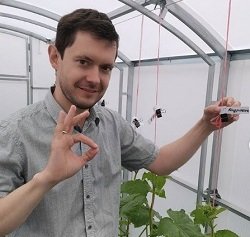 Забор из перца в московской квартире: городской фермер делится опытом Забор из перца в московской квартире: городской фермер делится опытом огород