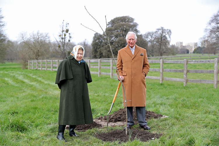 Королева Елизавета II и принц Чарльз посадили дерево по особенному поводу Монархи,Британские монархи
