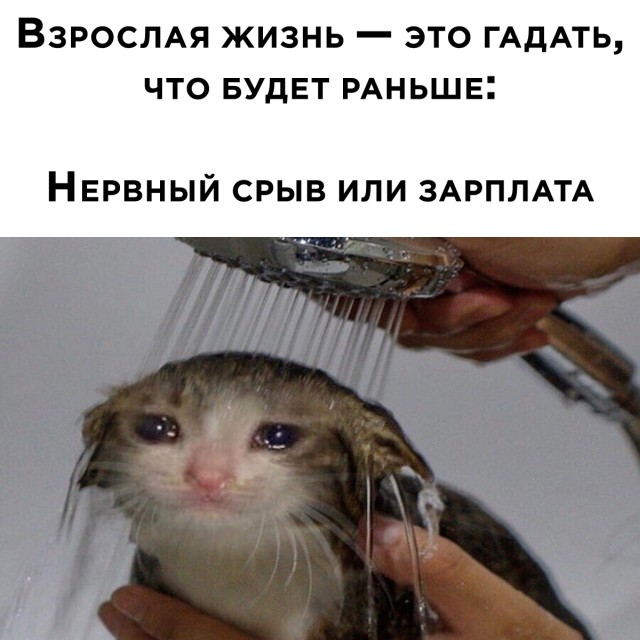 Подборка картинок. Вечерний выпуск Подборка картинок. Вечерний выпуск приколы,смешные картинки,юмор