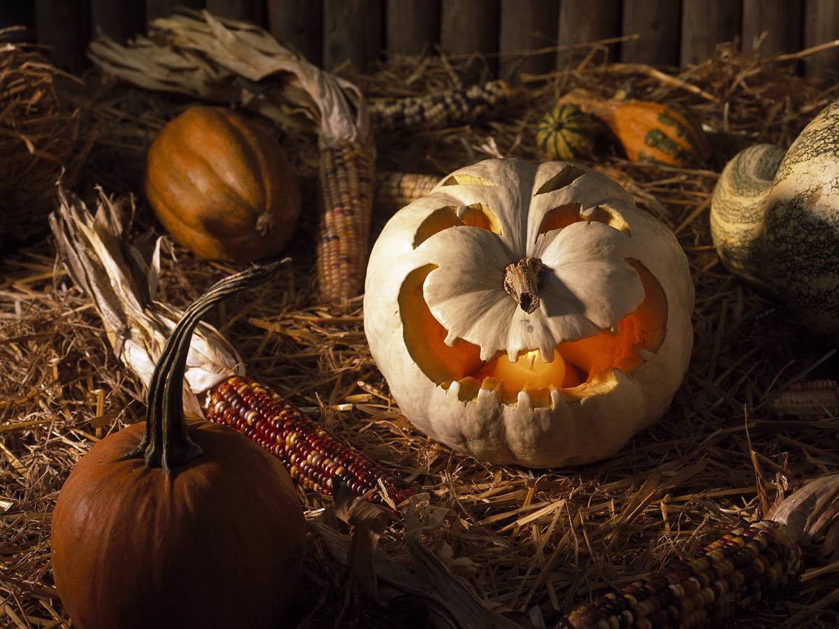 Хэллоуин. История появления и традиции празднования