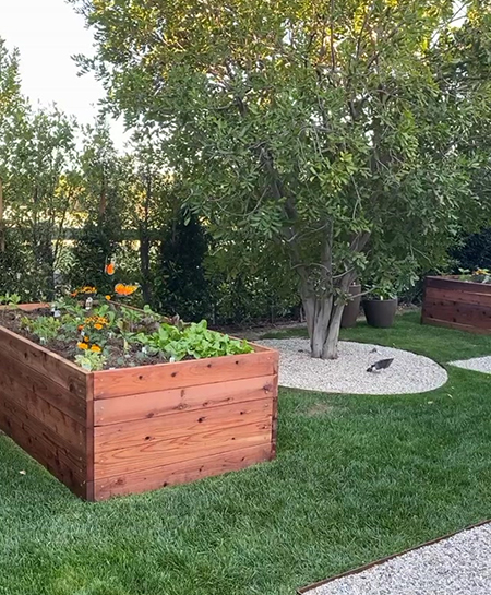 Самый молодой миллиардер мира Кайли Дженнер открыла для себя радости огородничества: "Всегда хотела это попробовать" Звезды,Новости о звездах