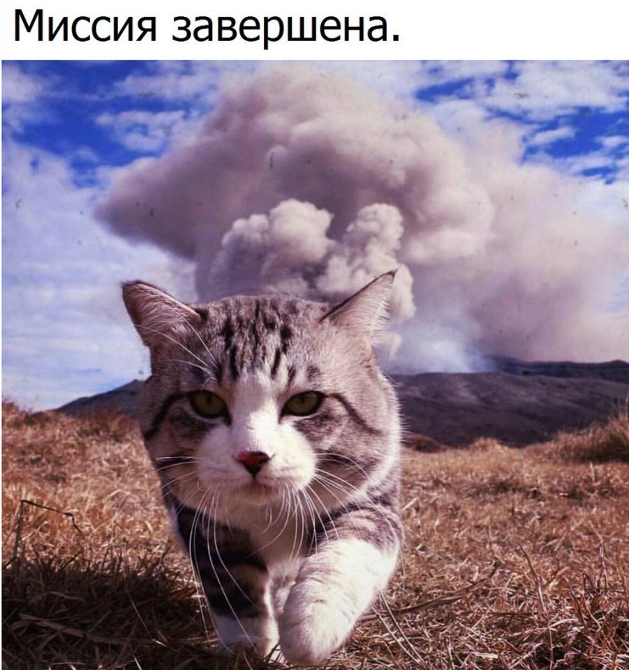 Веселые картинки и смешные фото приколы с надписями Веселые картинки и смешные фото приколы с надписями