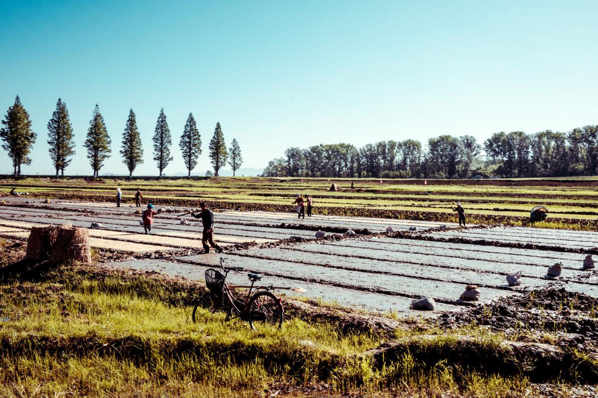 «Чосон» Дениса Давыденко: объективная нереальность из Северной Кореи «Чосон» Дениса Давыденко: объективная нереальность из Северной Кореи