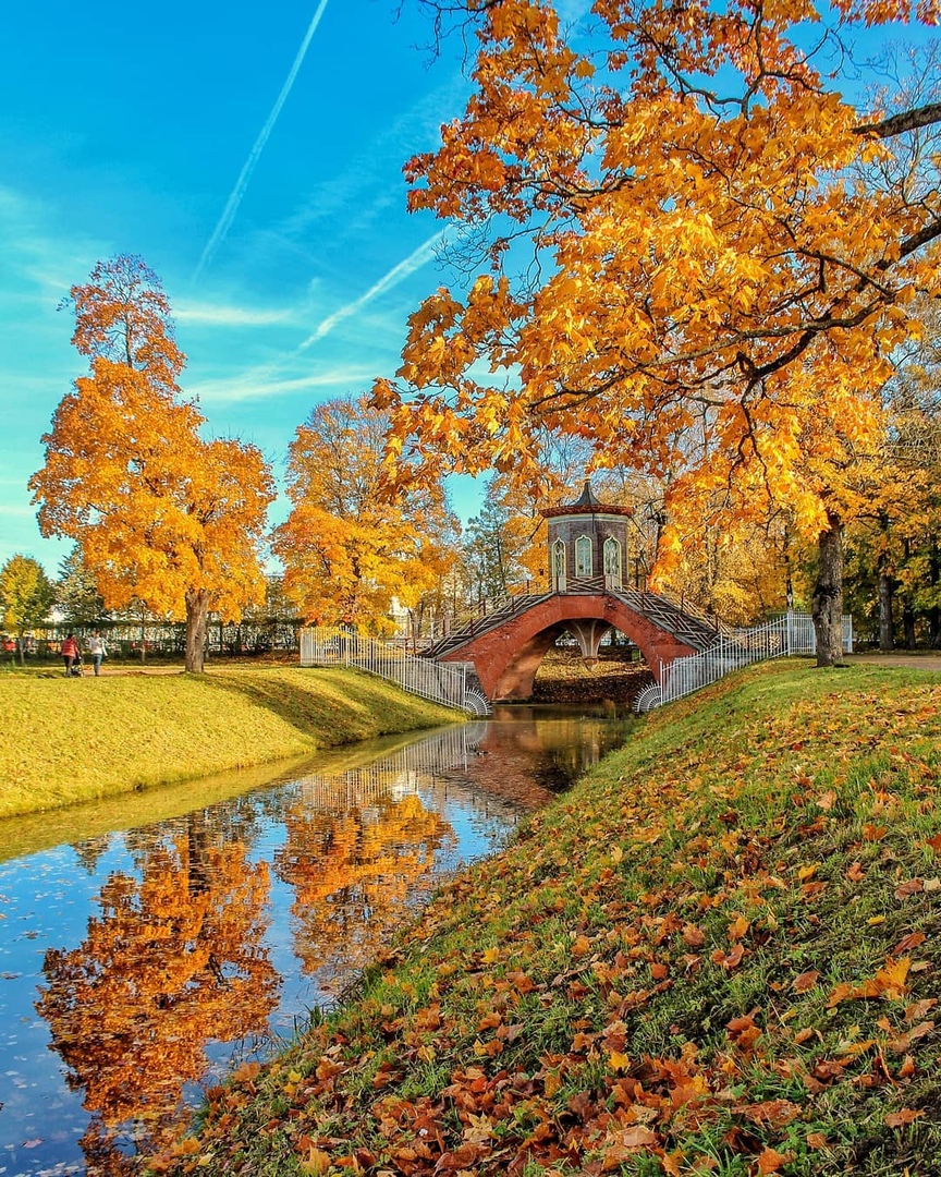 Подборка классных фотографий и шикарных картинок из нашей сети 