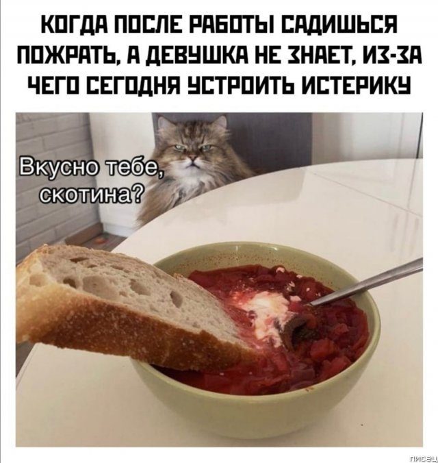 17 классных приколов в стиле «Когда...» 17 классных приколов в стиле «Когда...» позитив,смешные картинки,юмор