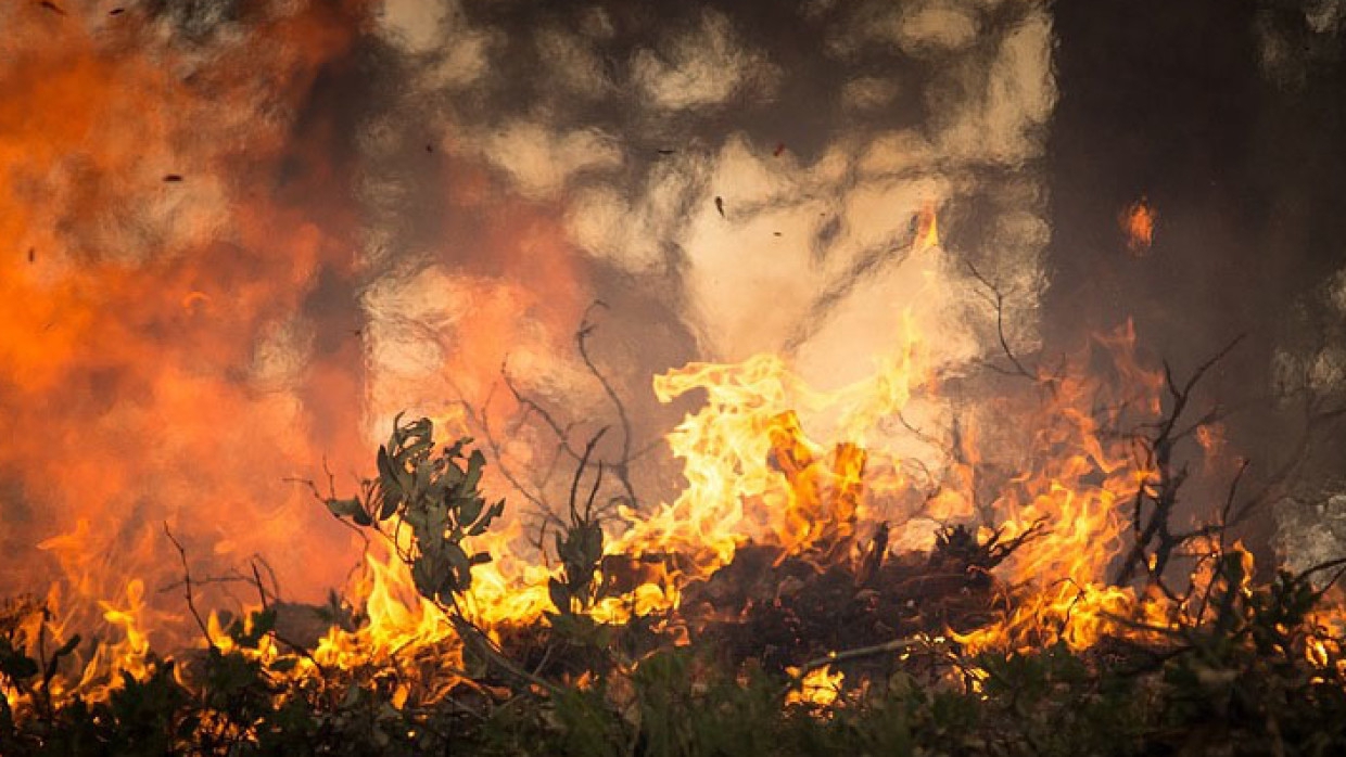 Площадь лесных пожаров в Иркутской области превысила 34 тысячи гектаров