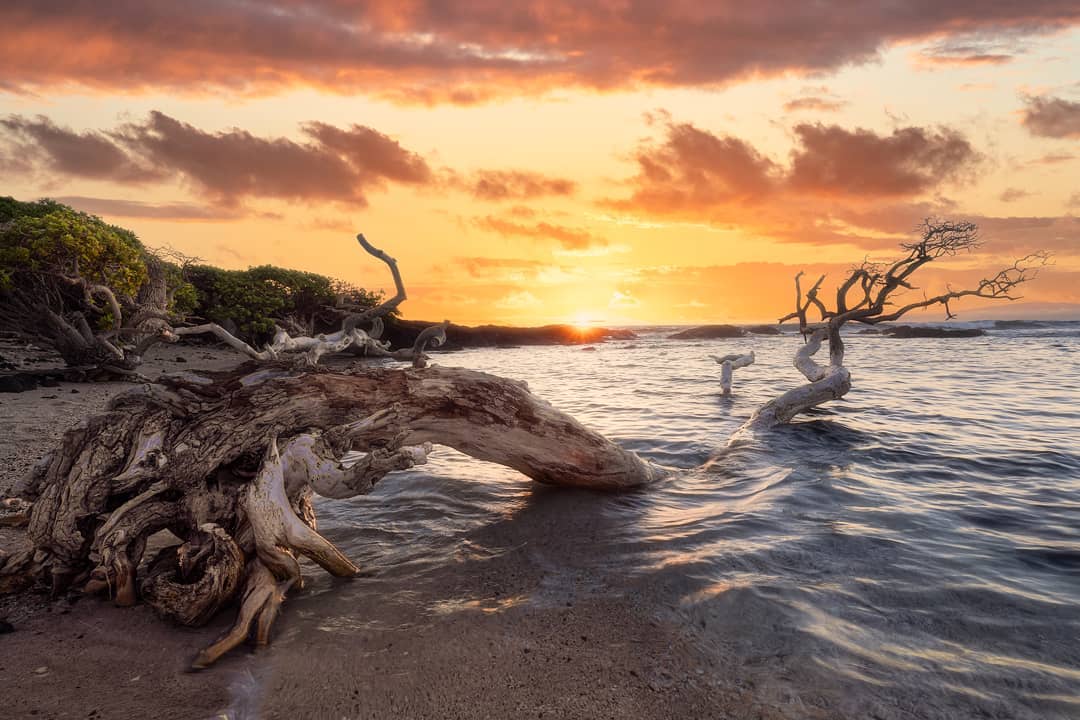 Соединённые Штаты Америки на снимках Джона Бирна Соединённые Штаты Америки на снимках Джона Бирна