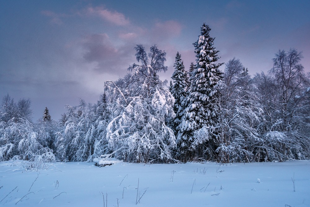 Фото зимы зимние пейзажи