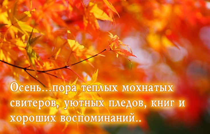 Осень картинки стихи высказывания