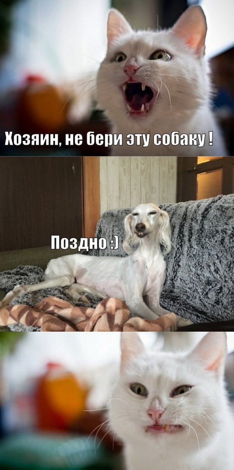 Всем добра)) Всем добра)) веселые картинки,приколы,юмор