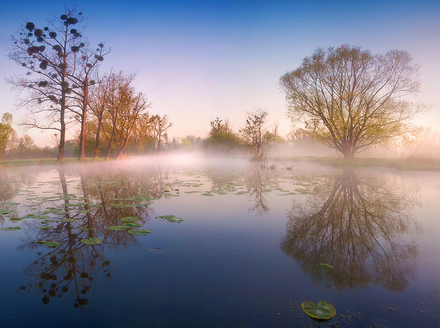 Фотография Pond Kaménka автор Jan Bainar на 500px