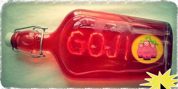 Настойка из ягод годжи