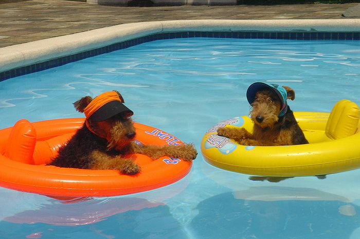 Давайте улыбаться вместе! :)