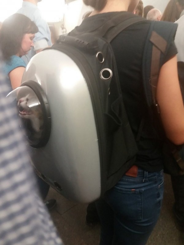 Модники и чудаки из метро  смешные картинки,фото-приколы,юмор