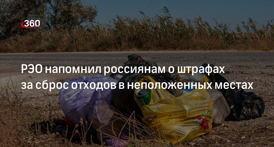 РЭО напомнил россиянам о штрафах за сброс отходов в неположенных местах