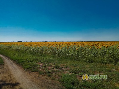 Экотуризм по-русски Экотуризм по-русски туризм,экология