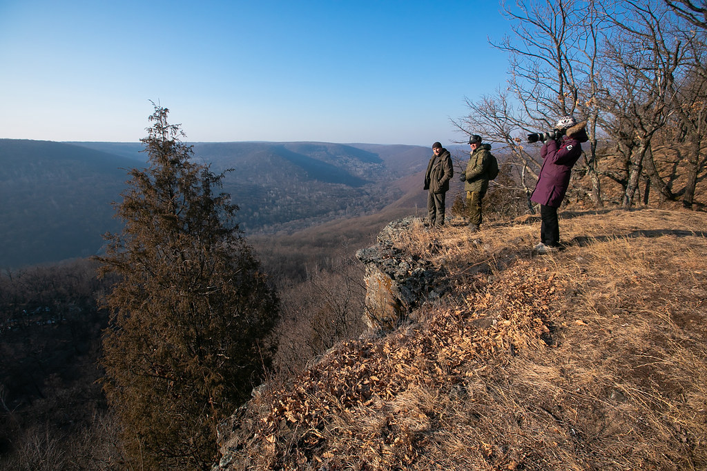 Discovery по-приморски: экстремальные съемки леопардов Discovery по-приморски: экстремальные съемки леопардов