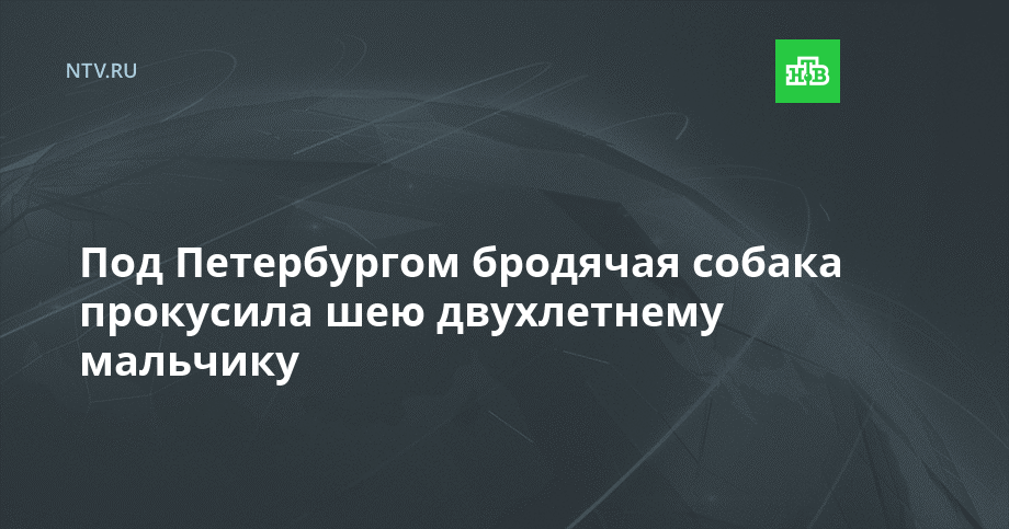 Под Петербургом бродячая собака прокусила шею двухлетнему мальчику