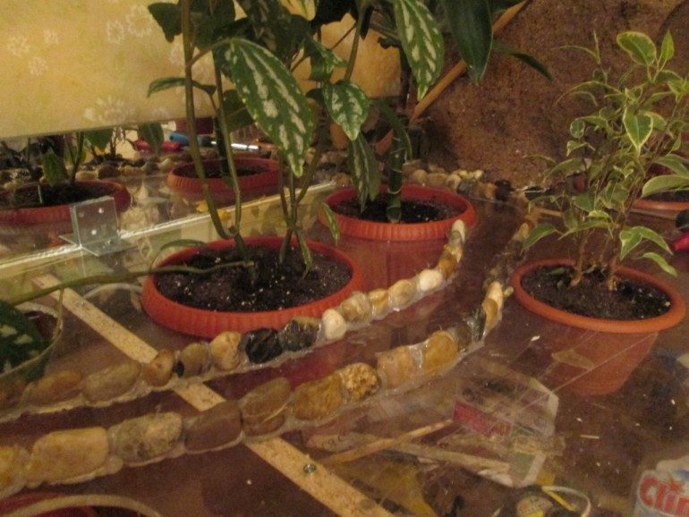 Домашняя оранжерея своими руками