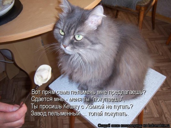 Мысли вслух :)