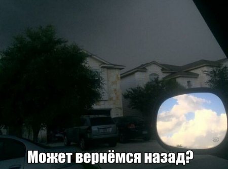 Прикольная фотоподборка (55 фото)