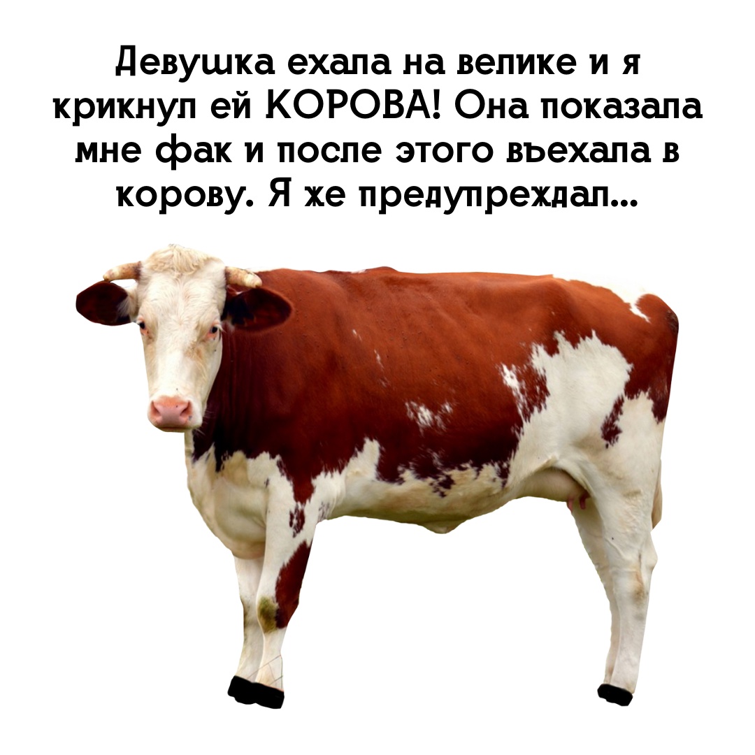 Юмор из интернета 729 позитив,смех,улыбки,юмор