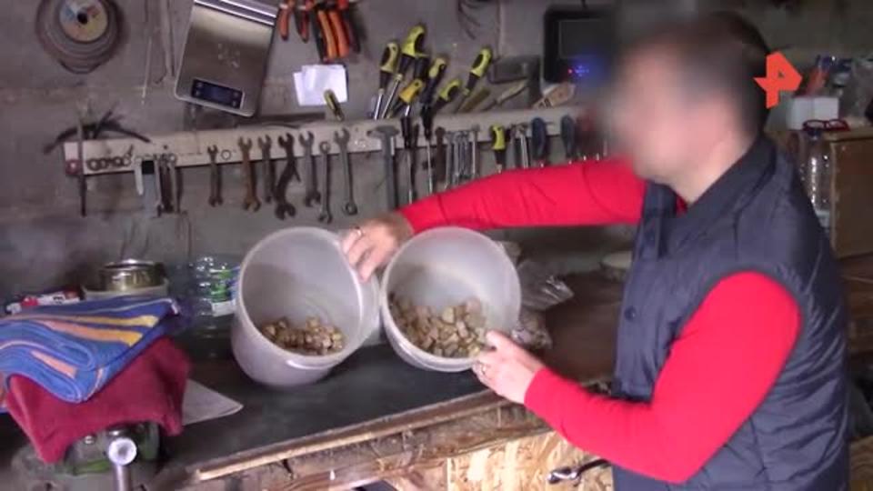 Видео: дайверов задержали за попытку откупиться за добычу янтаря
