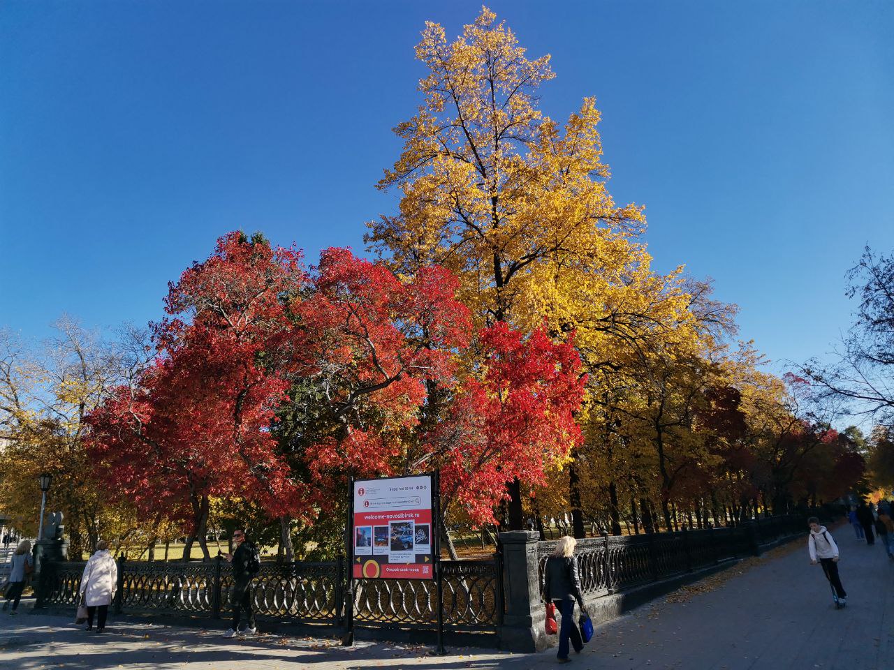 новосибирск осенью фото