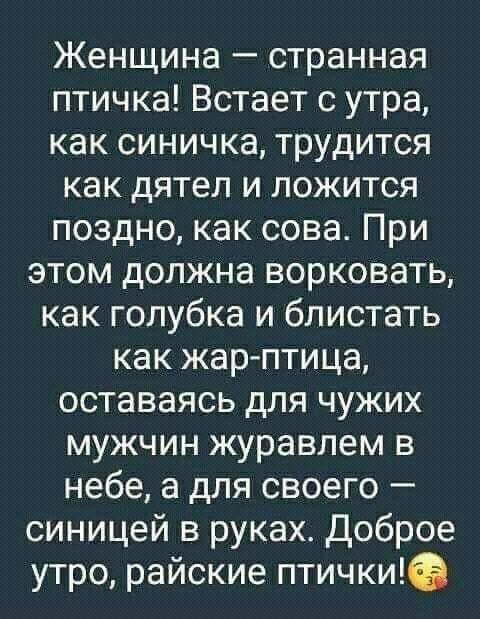 — Милый, принеси кофе.  — А по-хорошему попросить не можешь?... хотите, рисовать, которые, туалета, долларов, принеси, Милый, перед, семье, выходит, каждой, понимаю, Гений, Малевич, будет, сегодня, остальные, черненькие, квадратики, художественной