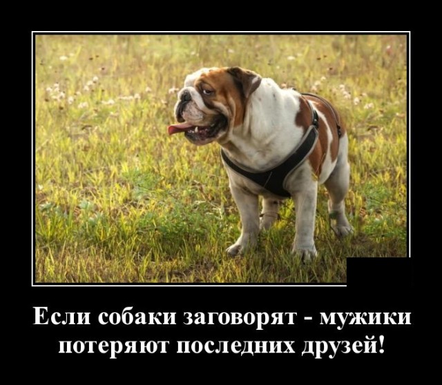 Самые новые демотиваторы  демотиваторы