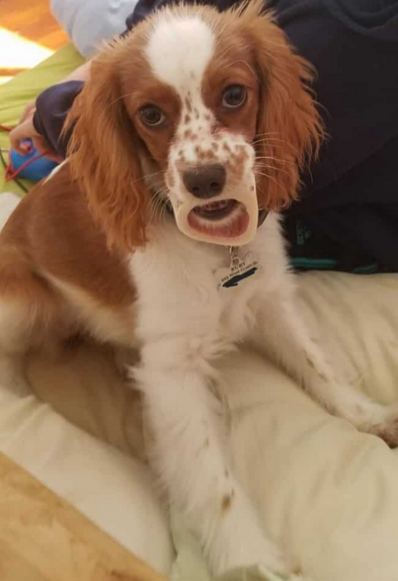 25 забавных снимков, которые пытаются обмануть наше зрение 