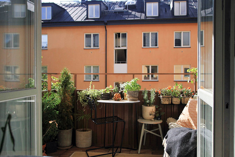 Небольшая шведская квартира с зеленой гостиной (39 кв. м) Небольшая шведская квартира с зеленой гостиной (39 кв. м) зеленый цвет