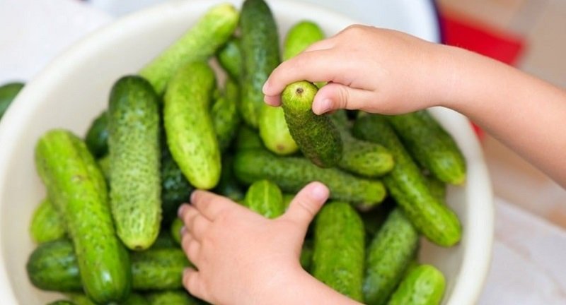 Шикарные медовые огурчики, которые идеально подходят под любой шашлык Шикарные медовые огурчики, которые идеально подходят под любой шашлык Закуски,салаты