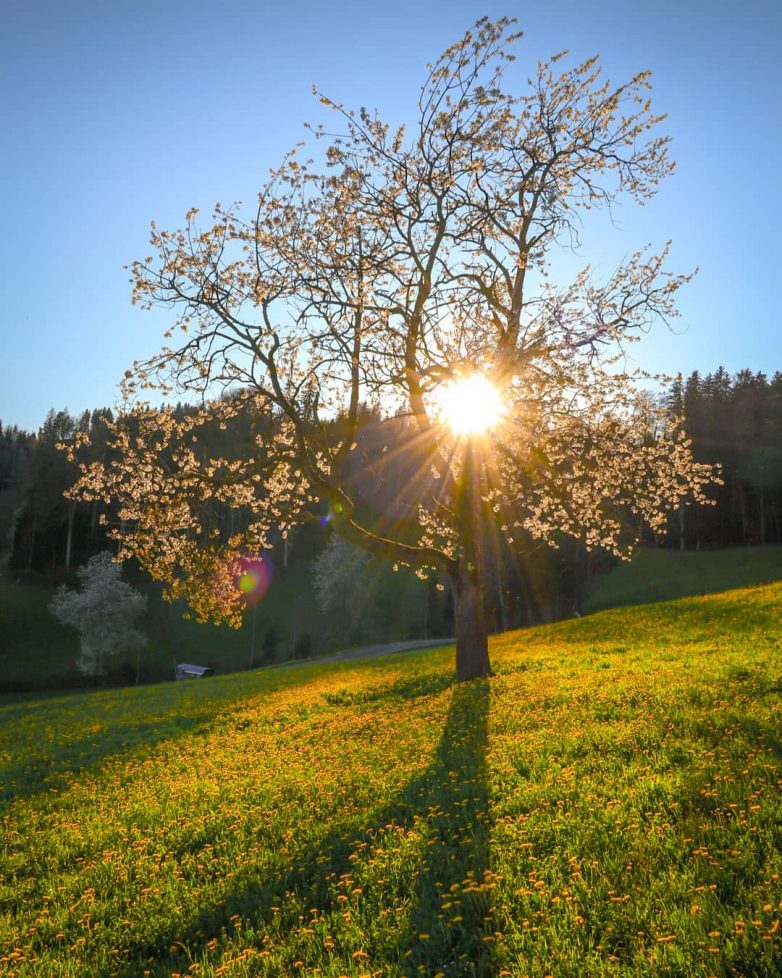 Швейцария, которая поражает с первого взгляда Швейцария, которая поражает с первого взгляда путешествие,Фотография,Швейцария