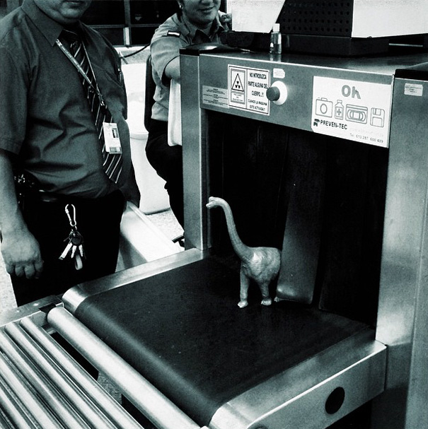 фото из путешествия с динозаврами