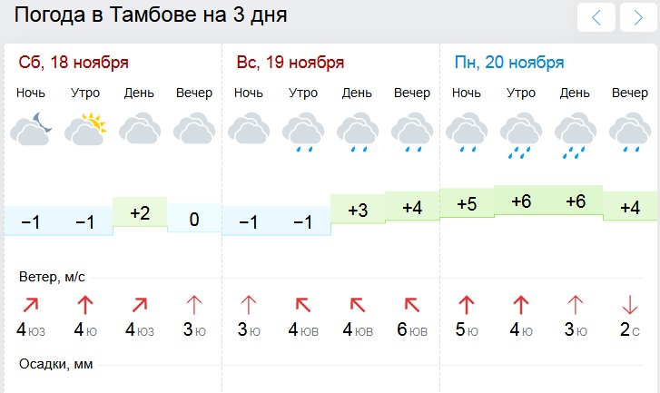 Погода в тамбове на 10 дней